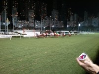 Pferderennen im Happy Valley in Hongkong