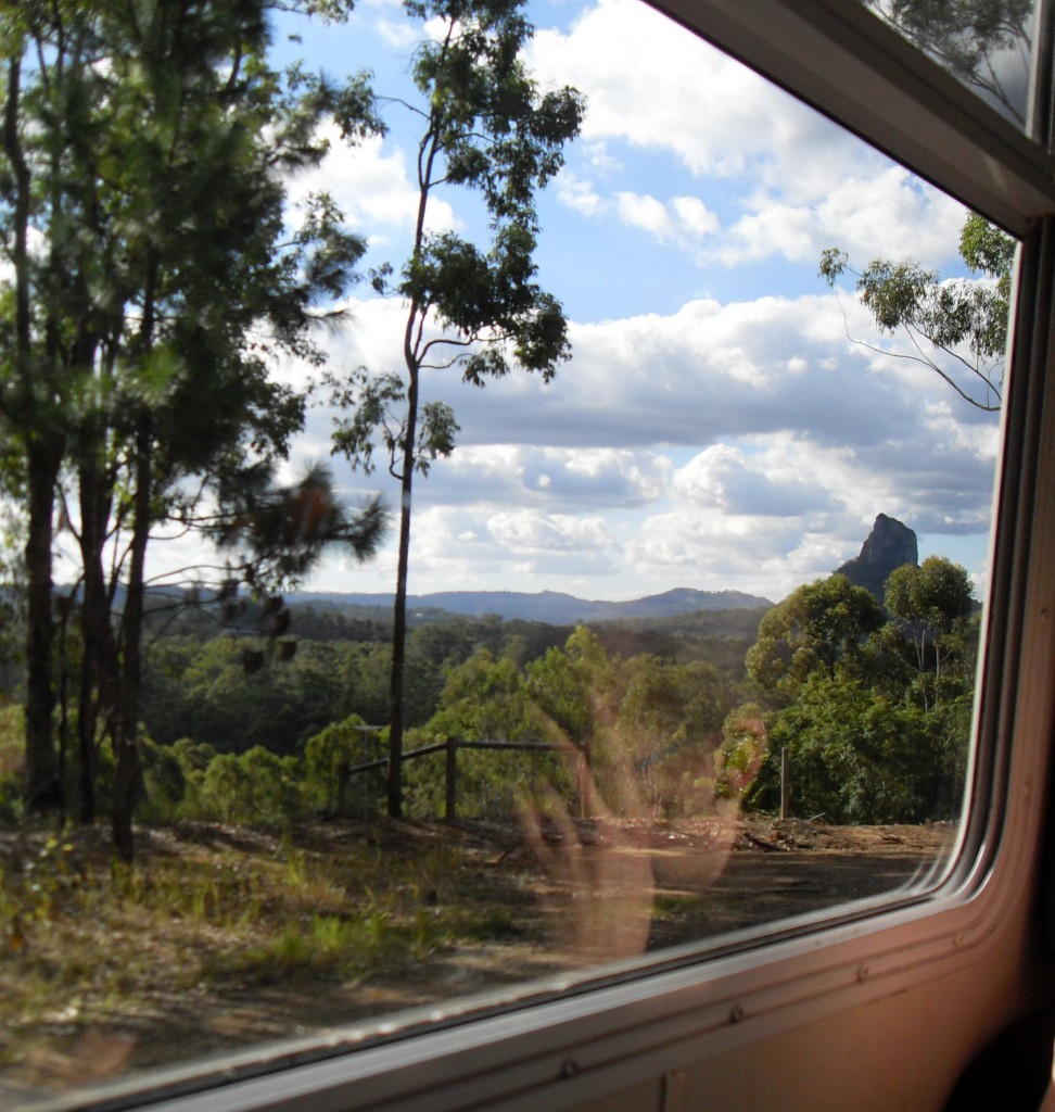 Glass House Mountains Vegetation