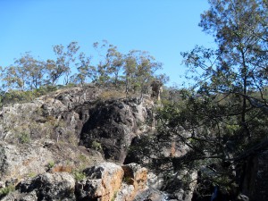 VLUU L200  / Samsung L200 (Reisetagebuch Australien: Weiter nach Cairns und die Millstream Falls)