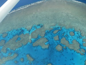 Korallenriff im Great Barrier Reef in Australien vom Flugzeug (Reisetagebuch Australien: Das Great Barrier Reef und Whitsunday Island)