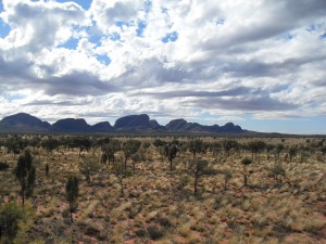 Landschaft beim Uluru in Australien (Reisetagebuch Australien: Sonnenuntergang am Uluru)