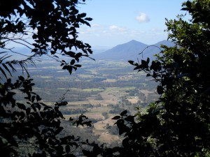 Sky Window Australien (Reisetagebuch Australien: Sky Window und Schnabeltiere)