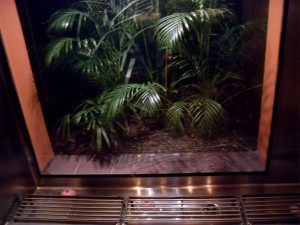 Spiegel-Pissoir im Rattle n Hum (Reisetagebuch Australien: Ein weiterer Tag in Cairns)