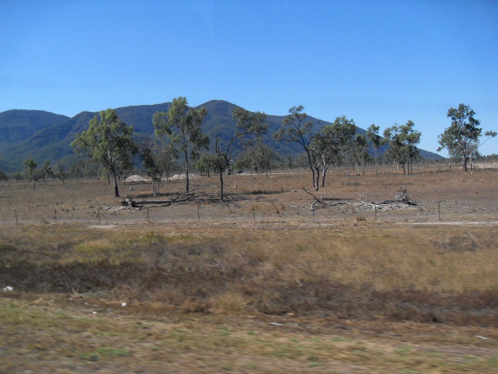 Steppenlandschaft in der Nähe von Ravenswood Australien