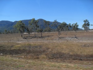 Steppenlandschaft in der Nähe von Ravenswood Australien (Reisetagebuch Australien: Die Goldgräberstadt Ravenswood)