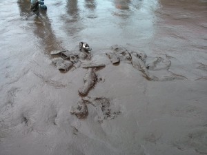 Schuh Friedhof im Schlamm Wacken Open Air 2015 (50 Shades of Schlamm – Wacken Open Air 2015 W:O:A)