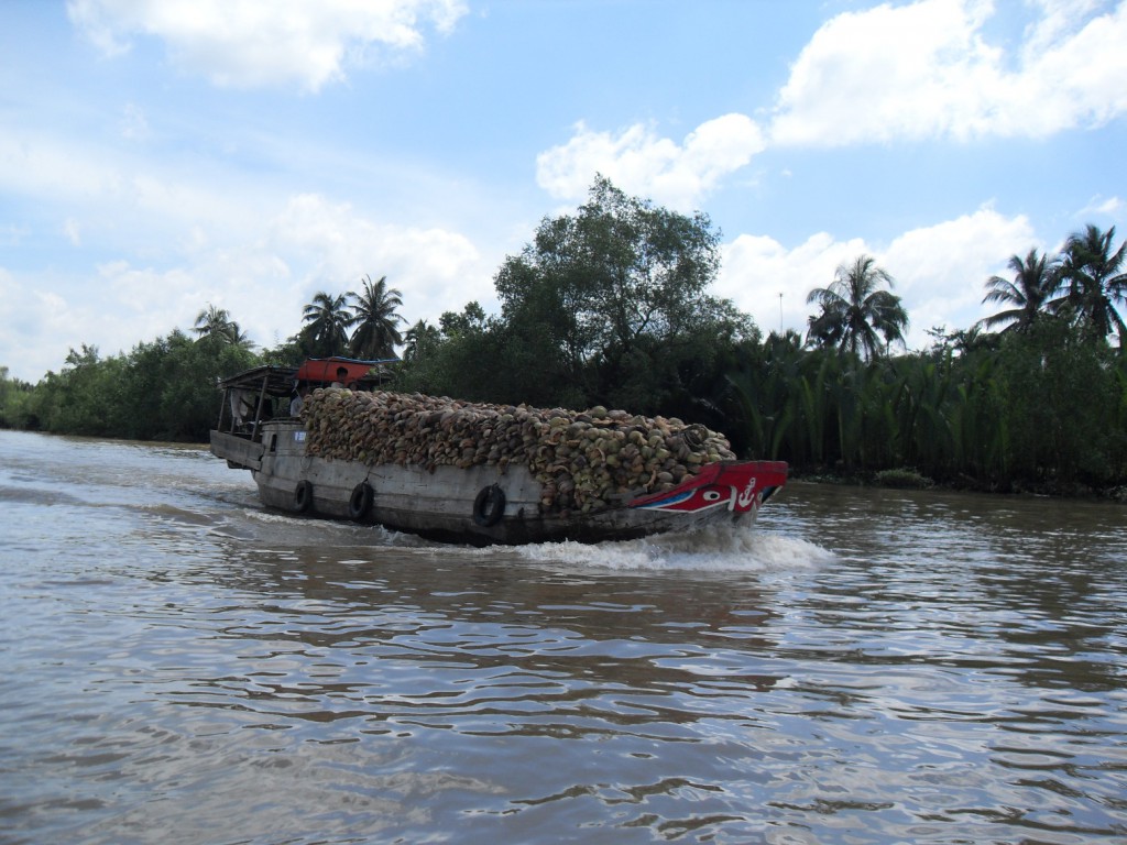 Boot mit Kokosnüssen auf einem Nebenfluss im Mekong-Delta in Vietnam