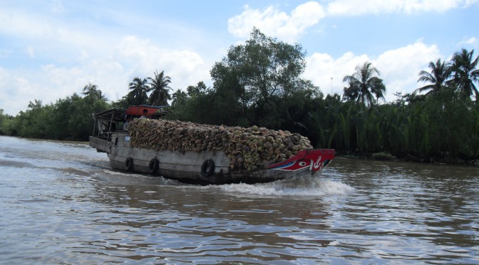 Boot mit Kokosnüssen auf einem Nebenfluss im Mekong-Delta in Vietnam