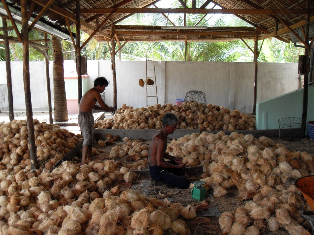 Verarbeitung von Kokosnüssen im Mekong-Delta in Vietnam