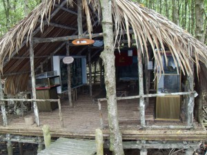 Nachbau eines Vietcong Lagers im Mangrovenwald bei Saigon in Vietnam (Reisetagebuch Vietnam: Besuch eines alten Vietcong-Lagers im Mangrovenwald)
