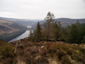 Wandern im Glendalough Nationalpark Irland (Wandern in Irland: Im Glendalough Nationalpark)