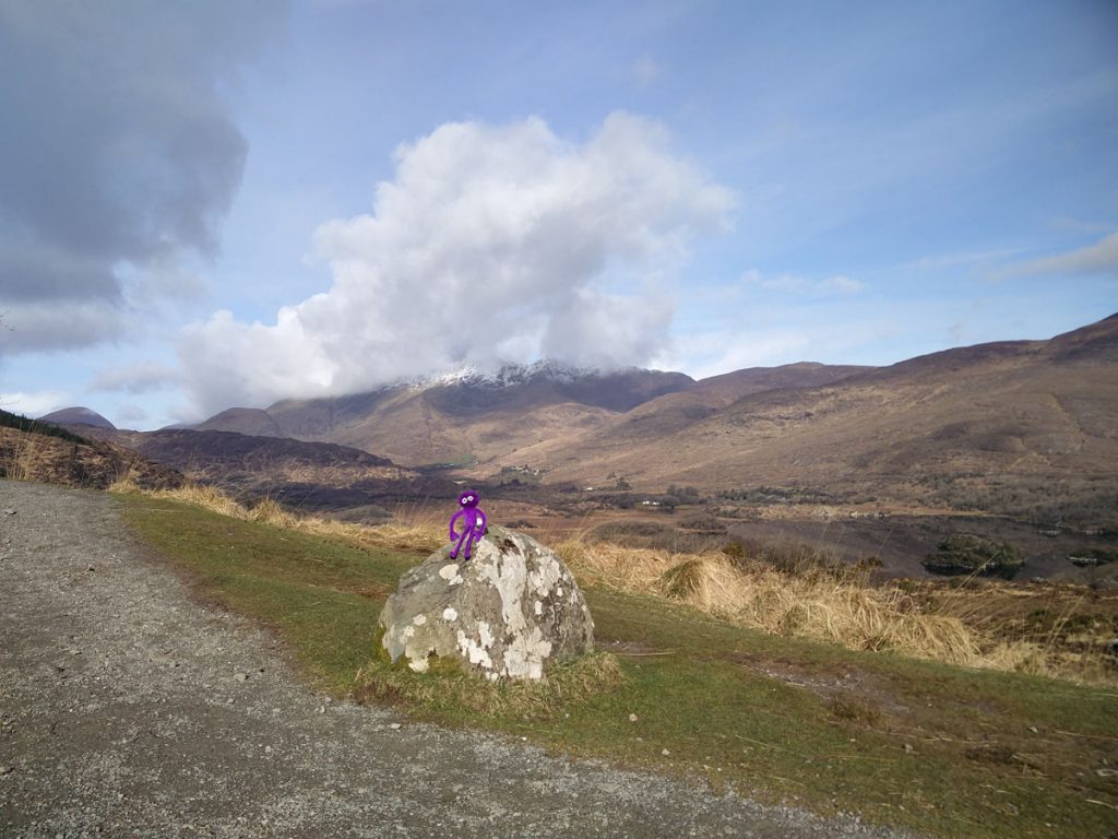 Knoten Knut beim Ladies View Nähe Killarney