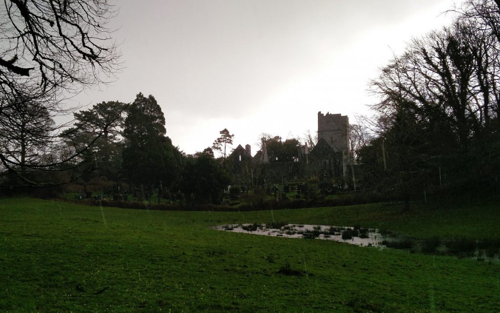 Die Muckross Abbey im Regen