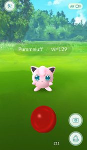 Pokémon Go Pummeluff