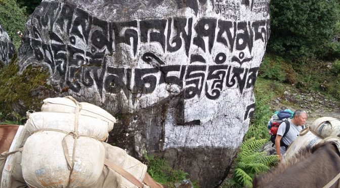 Gebetsstein auf unserem Weg nach Phakding Nepal