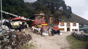 Kloster in Khumjung Valley Nepal (Auf dem Markt von Namche Bazar und Trek nach Khumjung Valley)