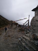 Weg nach Dugla beim Trekking in Nepal
