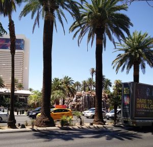 Palmen auf dem Strip von Las Vegas (Las Vegas Downtown – Auf der Fremont Street)