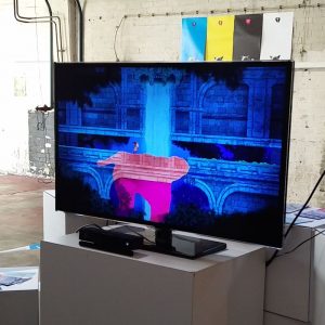 Indie Game Fru auf der Tincon 2018 (Auf der Tincon 2018 in Hamburg)