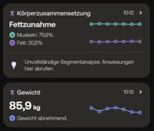 Withings Statistik Köperfettanteil Januar2026 (Meine Ziele und Pläne für das Jahr 2026)